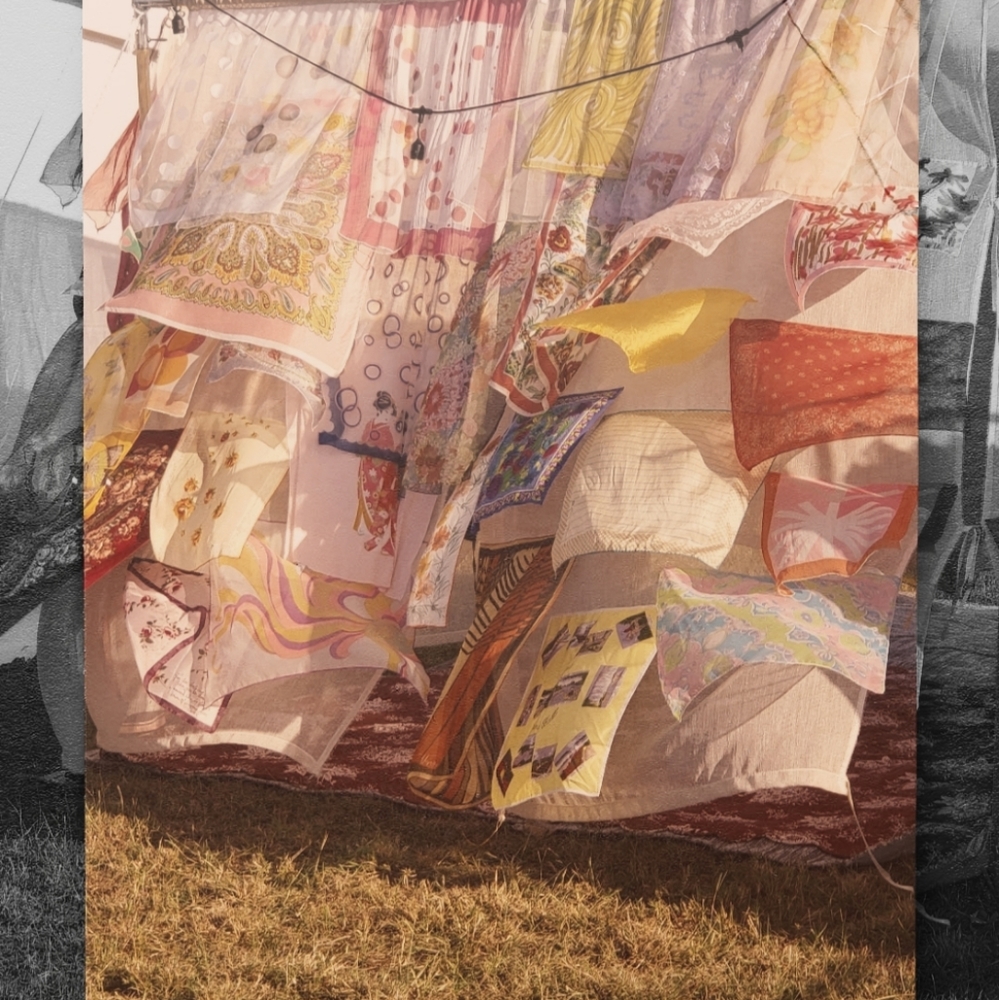 W I L D E R N E S S  G I R L